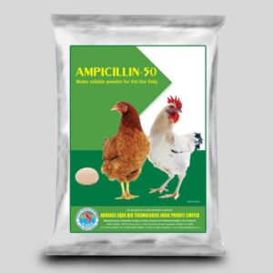 AMPICILLIN-50